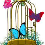 Cage ouverte et papillons