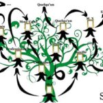 Le réseau par Stéphanie Poletti